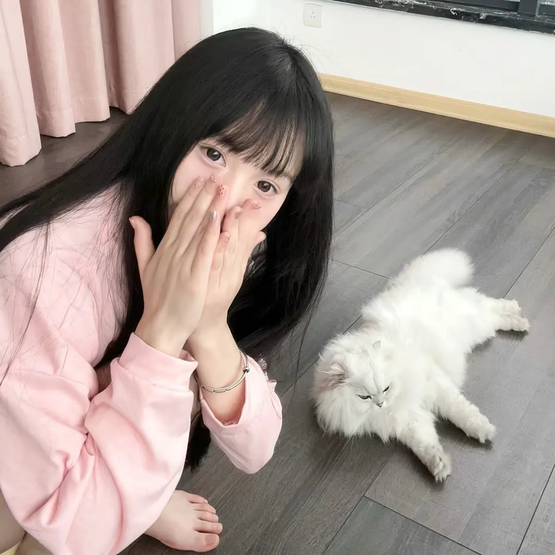 迷失真相